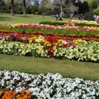 Queens Park Botanical Gardens