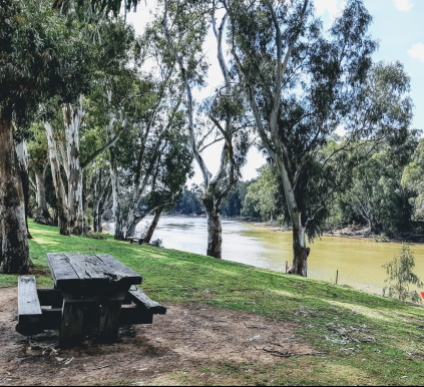 Lunch by the Murray