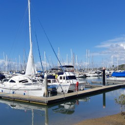 Manly Harbour